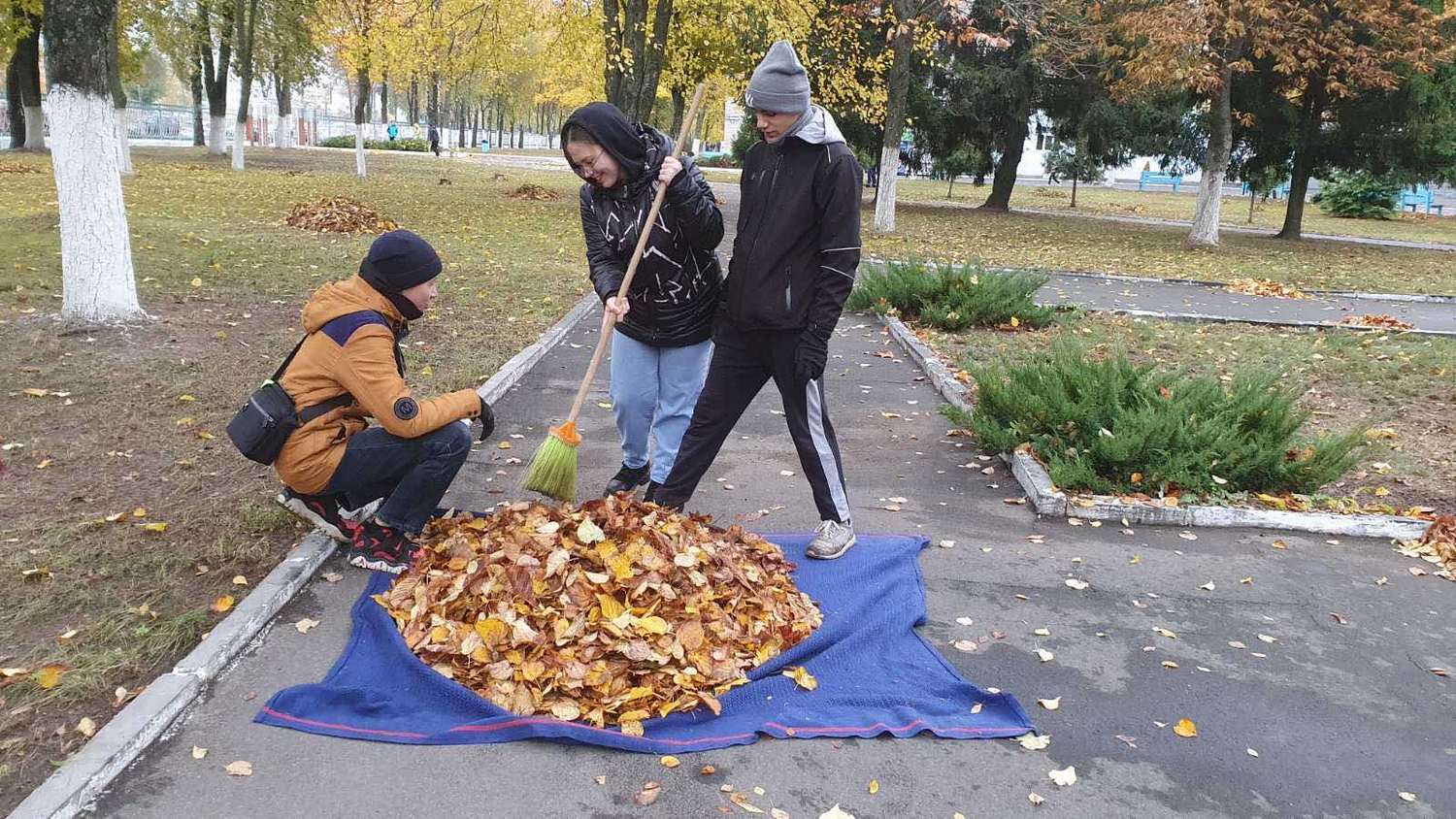 Фисташка Мозырь